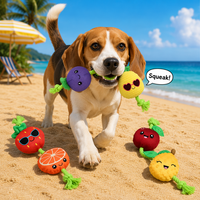 Jouet en peluche pour chien Famipet, fabriqué sur mesure, nouveau thème estival, design mignon aux fruits, jouet en corde douce et froissée, jouet couineur pour animaux de compagnie