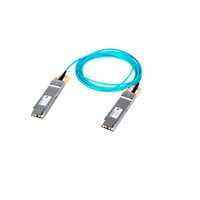Câble optique AOC Premium 800G 5G PoE MPO OSFP112 pour mise à niveau réseau et transmission de données massives, conception basse consommation conforme RoHS