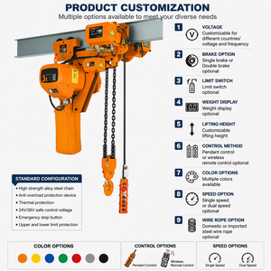 Vision <span class=keywords><strong>1</strong></span> tonnellata 2 <span class=keywords><strong>tonnellate</strong></span> 5 <span class=keywords><strong>tonnellate</strong></span> polipasto electrico con mando a distancia - Product Image 2