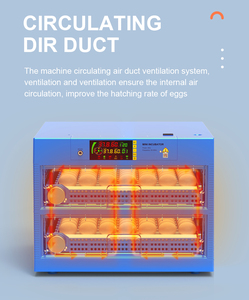 Incubadora de huevos con control automático de temperatura y humedad, máquina para incubar huevos, nuevo diseño, 256 - Product Image 6