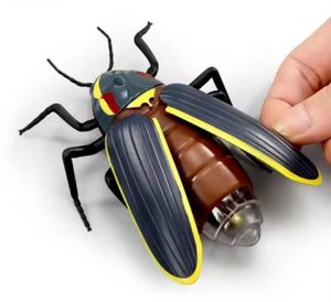 EPT vente en gros Rc <span class=keywords><strong>luciole</strong></span> jouets éducatifs insectes éclairage ver luisant RC animaux scarabée jouets - Product Image 5