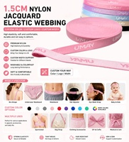 Pita Elastis Jacquard Nilon untuk Ikat Pinggang Pakaian Dalam, Tali Bra, Tali Tas, Aksesoris Pakaian Ramah Kulit, Logo Warna Kustom