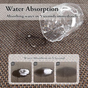 (Chakme) <span class=keywords><strong>Tapis</strong></span> Original <span class=keywords><strong>Tapis</strong></span> Salon <span class=keywords><strong>Tapis</strong></span> Épais Salon Grand <span class=keywords><strong>Tapis</strong></span> d'Entrée - Product Image 5