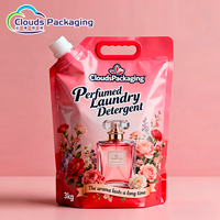Sacs d'emballage en plastique pour lessive personnalisés, savon liquide, sachet debout avec bec verseur
