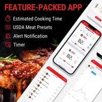 ThermoPro TemSpike TP960 Thermomètre intelligent sans fil pour viande et barbecue avec deux capteurs