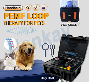 เครื่อง PEMF แบบพกพาสำหรับสัตว์ ราคาโรงงาน สำหรับซ่อมแซมอาการบาดเจ็บจากการเล่นกีฬา อุปกรณ์แม่เหล็กพัลส์สำหรับศูนย์ฟื้นฟูสัตว์เลี้ยง - Product Image 3