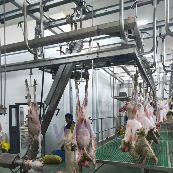 Keçi kesim makineleri için koyun mezbaha makineleri ram kesim hattı için abattoir ekipmanları