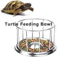 Petit bol d'alimentation en plastique pour animaux de compagnie décor lézard Gecko Terrarium mangeoire tortue eau plat grenouille plat d'alimentation Reptile bol d'alimentation