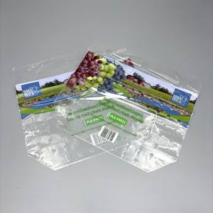 Custom <strong>Printed</strong> Twisted Handle Bag for Grapes Perforated Bags for Fruits and <strong>Vegetables</strong> Biodegradable Grape Bag - Product Image 2