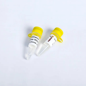Hotstart KnTaq Polimerasa-Para ANÁLISIS DE SNP y <span class=keywords><strong>PCR</strong></span> específica de alelos - Product Image 1