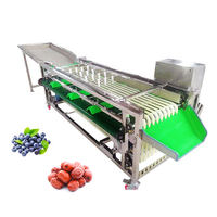Pruimensorteermachine Fruitsorteermachine Palmdata Appeluikersen Sorteermachine Voor Aardappel