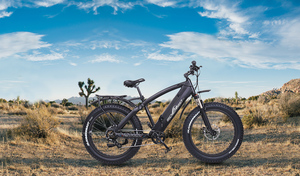 Vélo électrique <span class=keywords><strong>Green</strong></span> Power OEM avec batterie cachée - Product Image 6