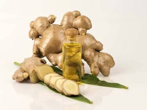 Aceite Esencial de Jengibre Premium 100% Puro, Extracto de Rizoma de Jengibre Destilado al Vapor, Aceite Natural Aromático Picante para Masajes - Product Image 5