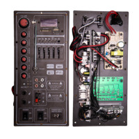 Module amplificateur de haut-parleur actif de haute qualité Subwoofer 40W Module amplificateur Audio carte amplificateur