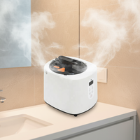 Generador de Vapor Eléctrico para Sauna de Acrílico y Acero Inoxidable, Baño de Vapor para Spa Corporal con Control Remoto