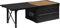Table de camping avec boîte de rangement 50L, légère, portable, en aluminium, pliable, pour pique-nique en plein air, usage domestique