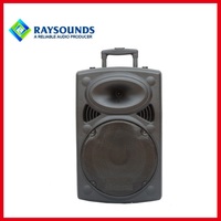 Enceinte Karaoké Portable 80W sur Chariot avec Deux Micros Sans Fil, Égaliseur DSP Cinéma & Stéréo TWS, Batterie Rechargeable