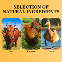 Camilan Sosis Ham untuk Hewan Peliharaan - Daging Ayam Sapi Bebek Segar Non-Organik Tanpa Pewarna/Penyedap Buatan Rendah Kalori 15g*9pcs Kemasan untuk Kucing Anjing