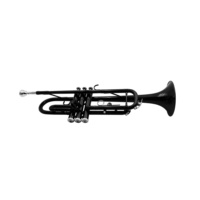 SEASOUND OEM Black BB Trumpet JYTR401BK Brass Body Instrument