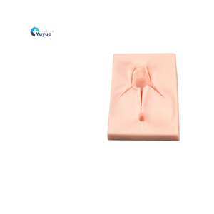 Nữ sinh sản kế hoạch gia đình PVC manikin đáy chậu bên vết rạch và vulvar rách khâu thực hành mô hình - Product Image 1