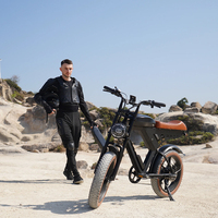 Vélo électrique adulte à pneus épais de 20 pouces vélo tout-terrain électrique urbain scooter électrique 48V 500W