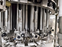 Contrôle PLC chaud verser bouteille en plastique PET jus de grenade pot de remplissage embouteillage fabricants de machines d'emballage ligne de production
