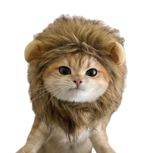 Wholesale Polyester Solid Summer Winter Pet <b>Cat</b> Lion Headgear New Pet Wig <b>Hats</b> Funny Headwear for <b>Cats</b> and Dogs - Product Image 2