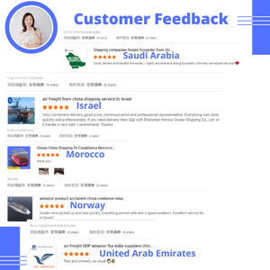 专业门到门海运货运代理 FCL/LCL集装箱 LCL+公路运输代理 保险 中国 德国 15-25天 - Product Image 5