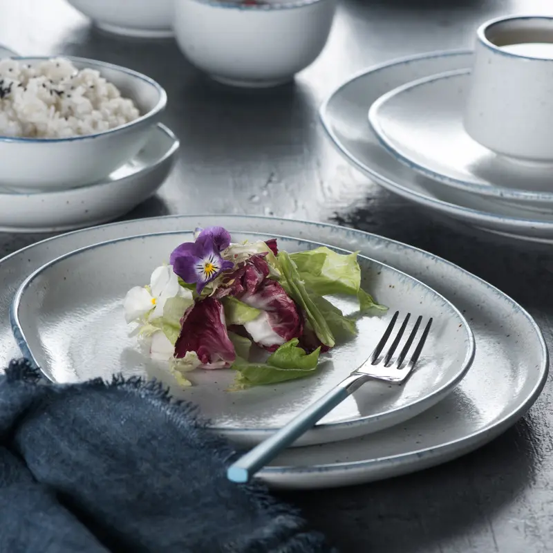 Piatto in ceramica bianca con bordo blu semplice per ristorante bistecca da pranzo al forno o servizio in stile occidentale per il cibo