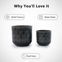 Pot en céramique émaillé durable pour plantes succulentes, idéal pour la maison et l'intérieur/extérieur