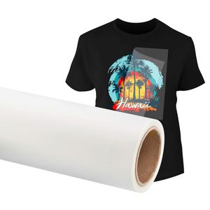 DTF Print Transfer Logo T Shirt 100% Cotton Heavy Duty T Shirt for Promotion Advertising Small MOQ Customization