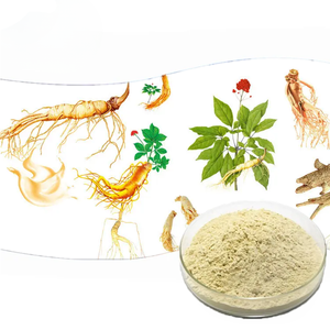Extrato de Raiz de Ginseng Orgânico Panaxoside Extrato de Ginsenosídeo <span class=keywords><strong>Rg1</strong></span> Rg2 Rg3 em Pó - Product Image 1
