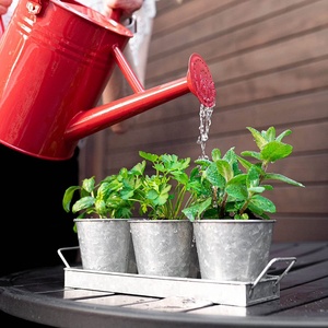 Pots d'herbes pour plantes d'intérieur, 12 pièces, avec plateau, culture <span class=keywords><strong>de</strong></span> herbes fraîches pour la maison - Product Image 2