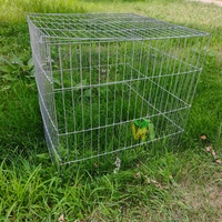 Cages pliables pour coqs de combat, taille personnalisée, cage à coqs en maille carrée, pliable et repliable pour le transport de coqs de combat