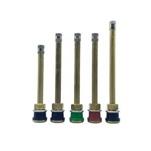 Phụ tùng ô tô Brass xe tải và xe buýt lốp van Tubeless chân không nén Loại lốp van tr573