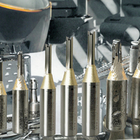 ANGHUA Industrial Arden TCT Fraise droite à double dent en carbure de tungstène pour le fraisage et le nesting sur CNC
