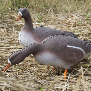 Señuelos de Ganso Realistas y Ligeros, Plegables, en Múltiples Poses, para <span class=keywords><strong>Caza</strong></span> de Aves Acuáticas al Aire Libre - Product Image 6