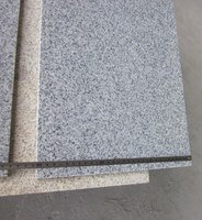 Anti-dérapant gris Chine clair G603 escaliers en granit