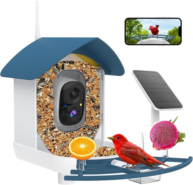 Solar Powered Instant Notification Auto 2K Camera Record Bird Video in Backyard AI Identify Birds Species Smart Bird Feeder