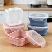Boîte à lunch en silicone de qualité alimentaire avec couvercle en plastique, étanche, écologique, compatible congélateur, pour fruits et légumes