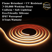Muestra Gratuita de Tira de Luz LED de Neón Flexible de 24v 12v de Alto Brillo para Letras Luminosas LED DIY, Letreros de Tienda, Luz de Neón para Exteriores