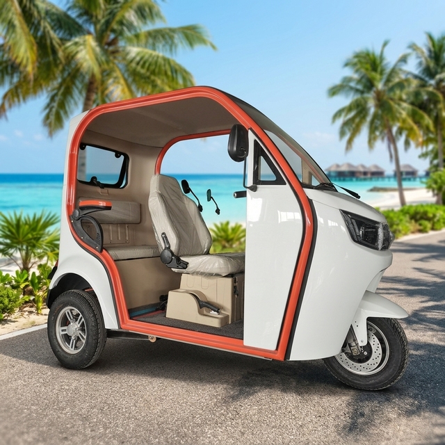 New Energy Vehicles  Mini Car for Adult Electric Tricycle  60V-72V Universal