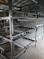 Système de Cage de piles à poulet, avec Structure en acier, 4 niveaux, moderne, maison, broyeur automatique, en vente, livraison gratuite
