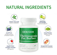 Pilules brûle-graisses thermogéniques de qualité supérieure OEM, capsules amincissantes pour la taille, produits de perte de poids pour femmes et hommes