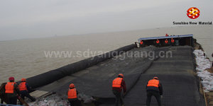 <span class=keywords><strong>Uniaxial</strong></span> giữ lại tường <span class=keywords><strong>PP</strong></span> HDPE dệt dệt kim Polyester <span class=keywords><strong>geogrid</strong></span> giữ lại tường dự án - Product Image 6