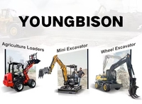 Youngbison Y1160 Mini-Traktor Diesel Hoflader Frontlader Weidemann Schnellwechsler Radlader Essenzieller Motor für die Landwirtschaft