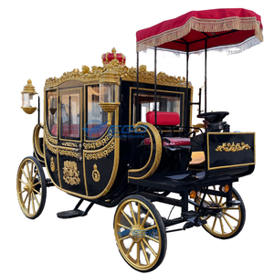 Calèche électrique personnalisée en acier pour mariages royaux et visites touristiques, capacité 6 personnes - Product Image 1