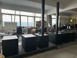 T-115BP 800W Rms 3200W Piek Actieve Draagbare Subwoofer Syatem Kleine Geluidsstudio Voor Podia Theaters Disco 'S Live Show - Product Image 5