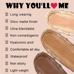 Ochain Private Label Palette de crème de fond de teint végétalien Correcteur compact pour le contour du visage Cernes Crème mate sans huile - Product Image 4