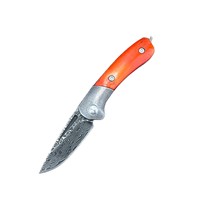 Fabrikant Zakmes VG10 Damascus Staal Ambidextrous Vouwzakmes Survival Fruitmes Draagbaar Kampeermes